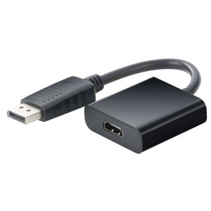 ADAPTATEUR DISPLAY HDMI